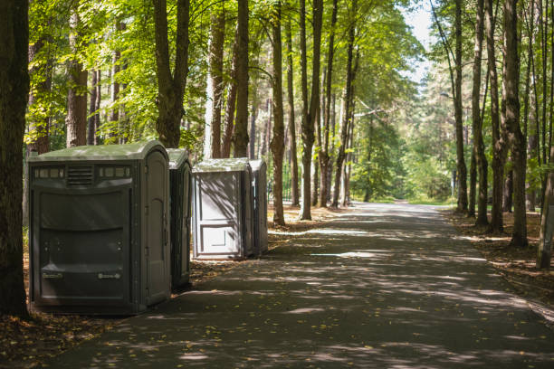 Best High-end porta potty rental  in Hlsboro, IL